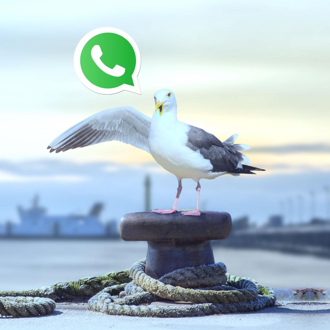 Post vom 16.02.2025